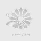 الف وردپرس